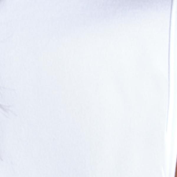 #swatch:WHITE