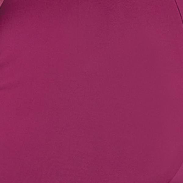 #swatch:PURPLE