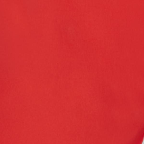 #swatch:RED