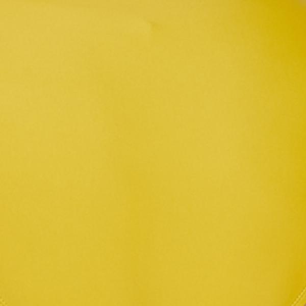 #swatch:MUSTARD YELLOW