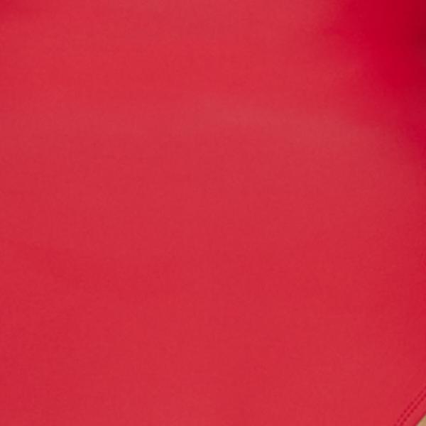 #swatch:RED