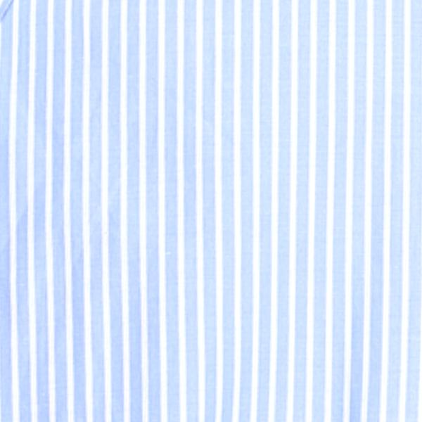 #swatch:LIGHT BLUE