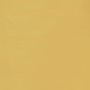 #swatch:MUSTARD YELLOW
