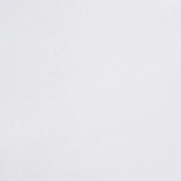 #swatch:WHITE