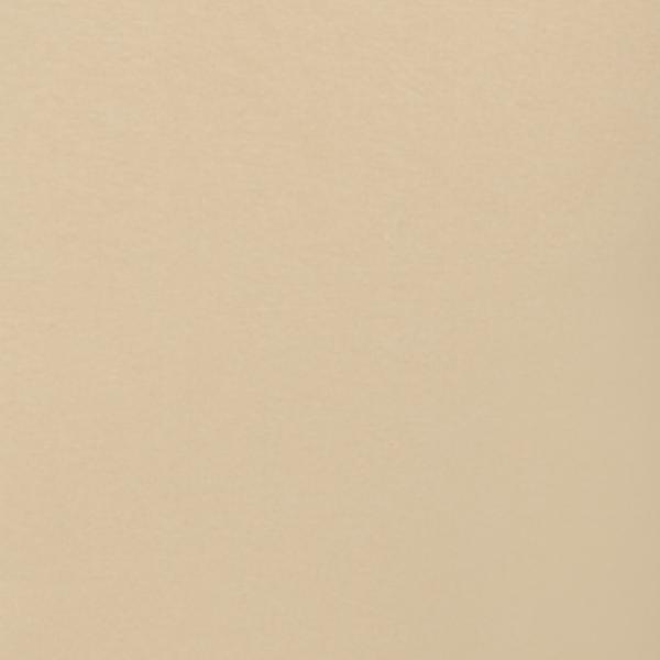#swatch:TAN