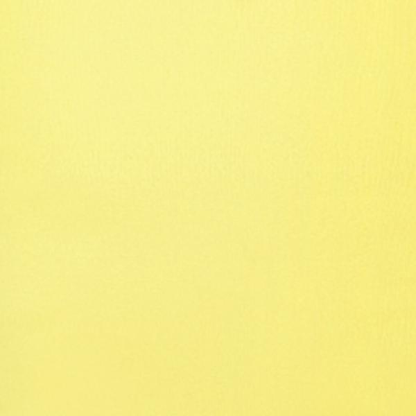 #swatch:LIGHT YELLOW