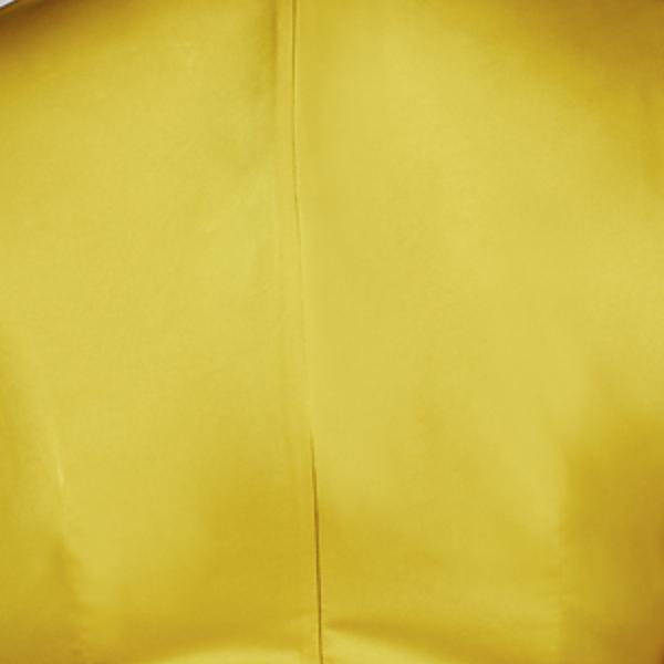 #swatch:DARK YELLOW