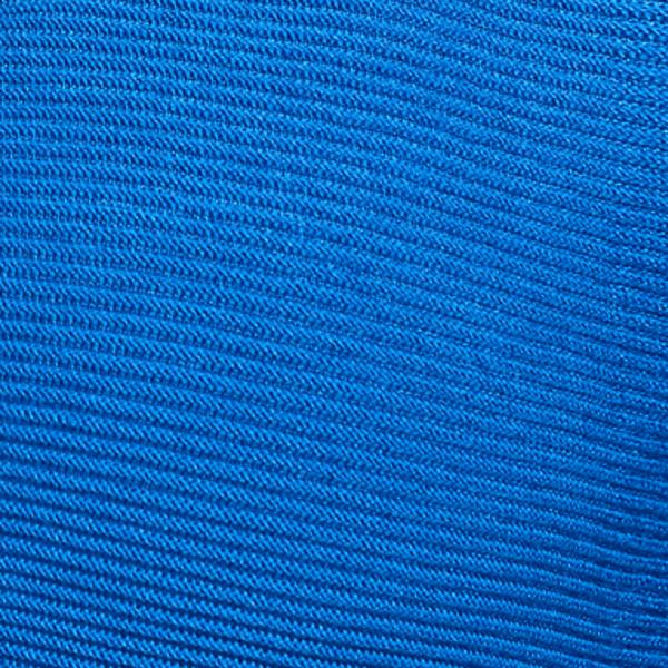 #swatch:BLUE