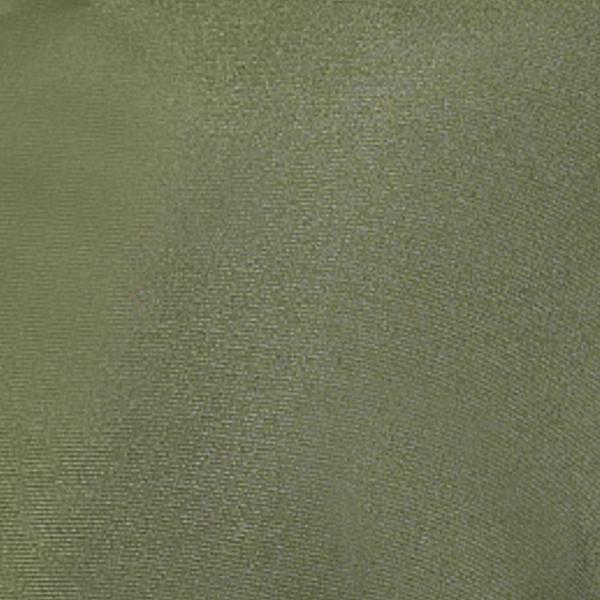 #swatch:OLIVE