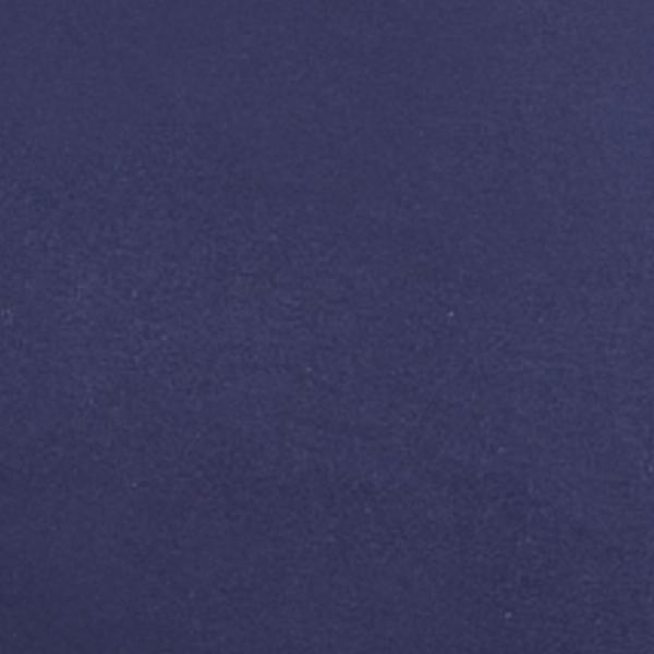#swatch:NAVY