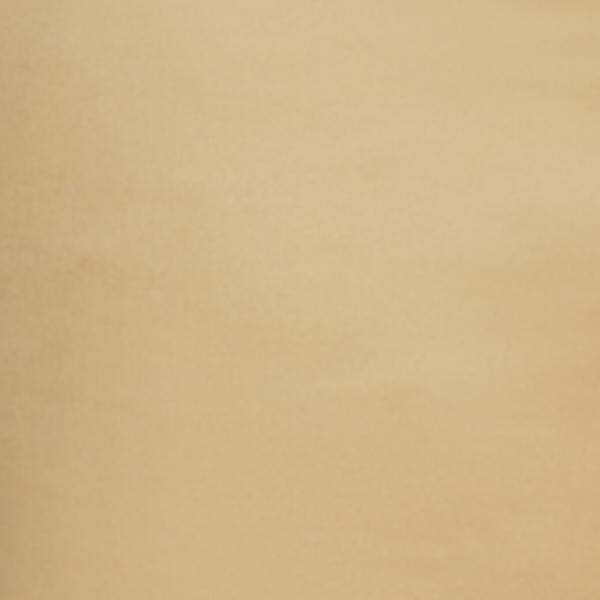 #swatch:TAN