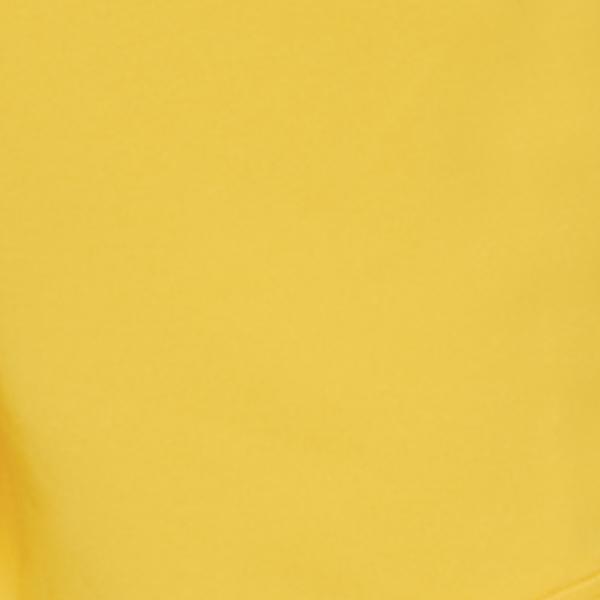 #swatch:ORANGE