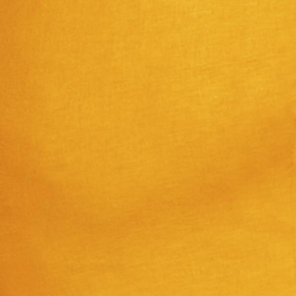 #swatch:ORANGE