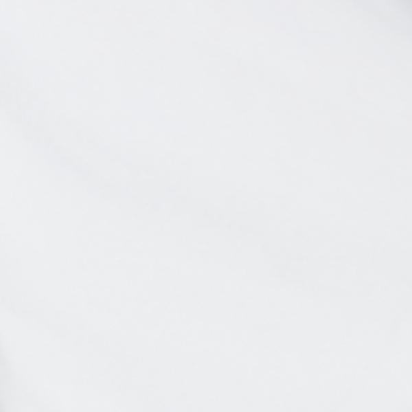 #swatch:IVORY